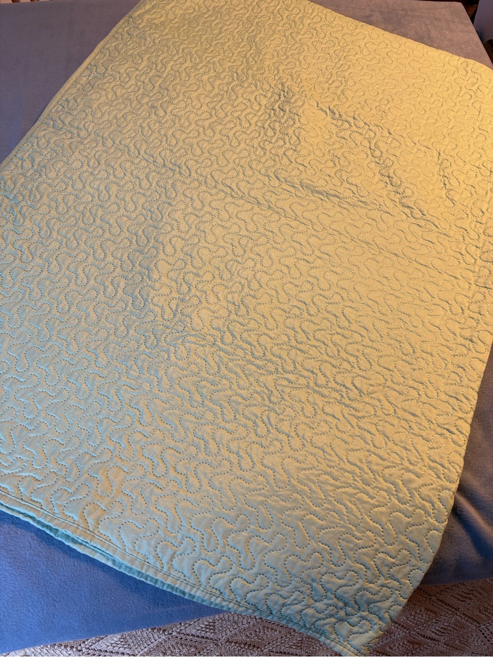 Soft Quilted Coverlet in Pale Green- Lightweight Home Bedding